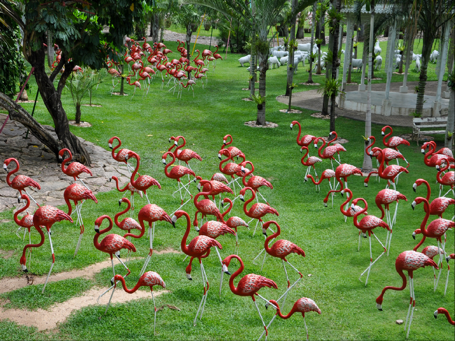 множество статуй фламинго в парке