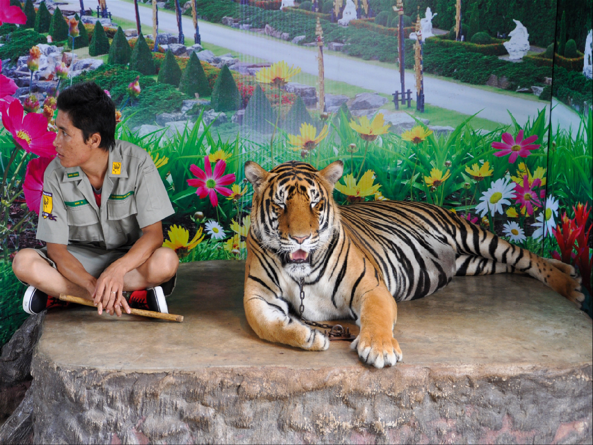 Таиский офицер фотографируется с тигром