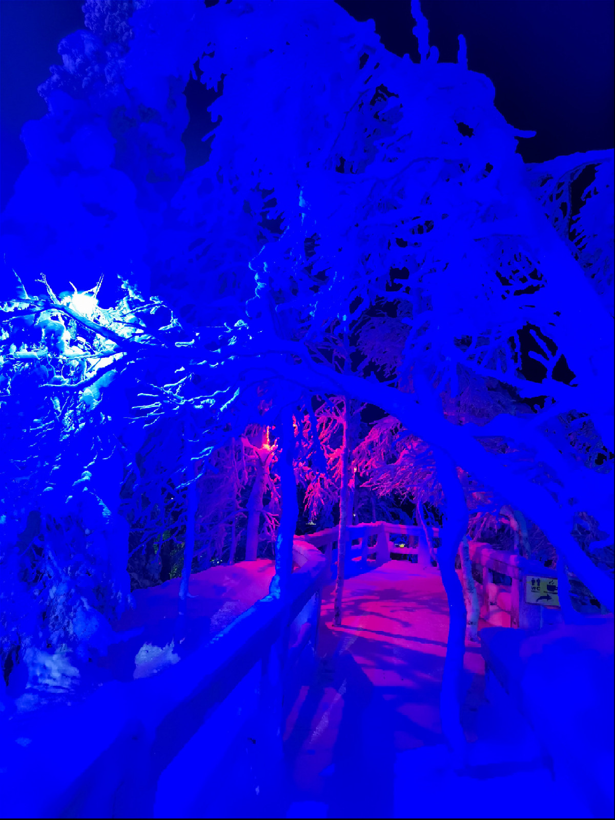 дорожка в зимнем лесу с сине-красной подсветкой