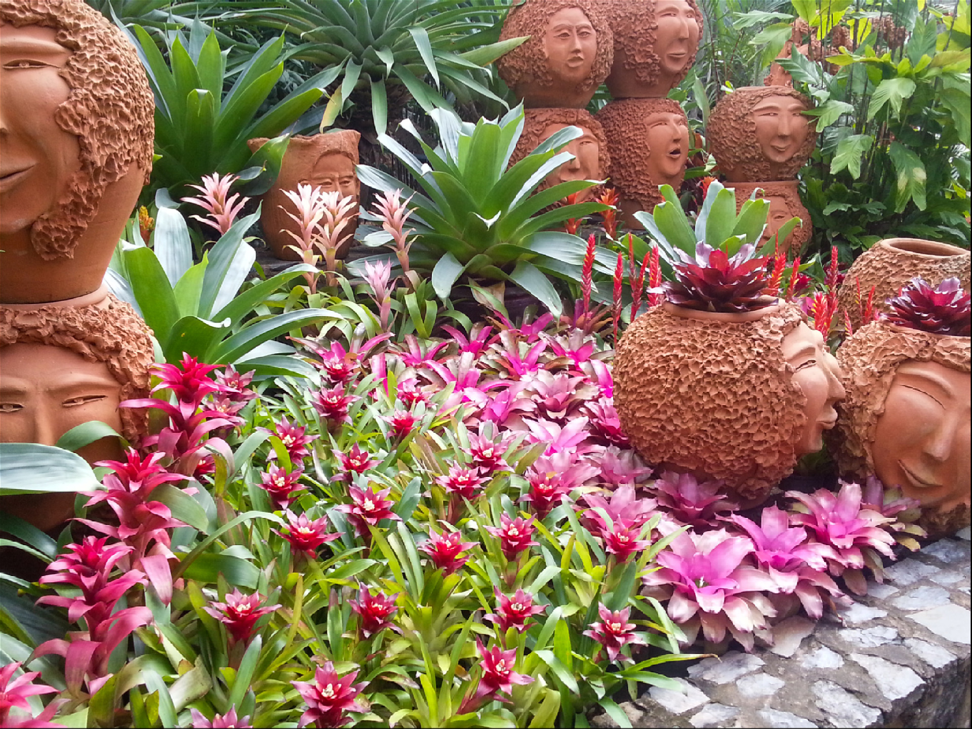 керамические горшки с цветами в форме лиц азиатов
