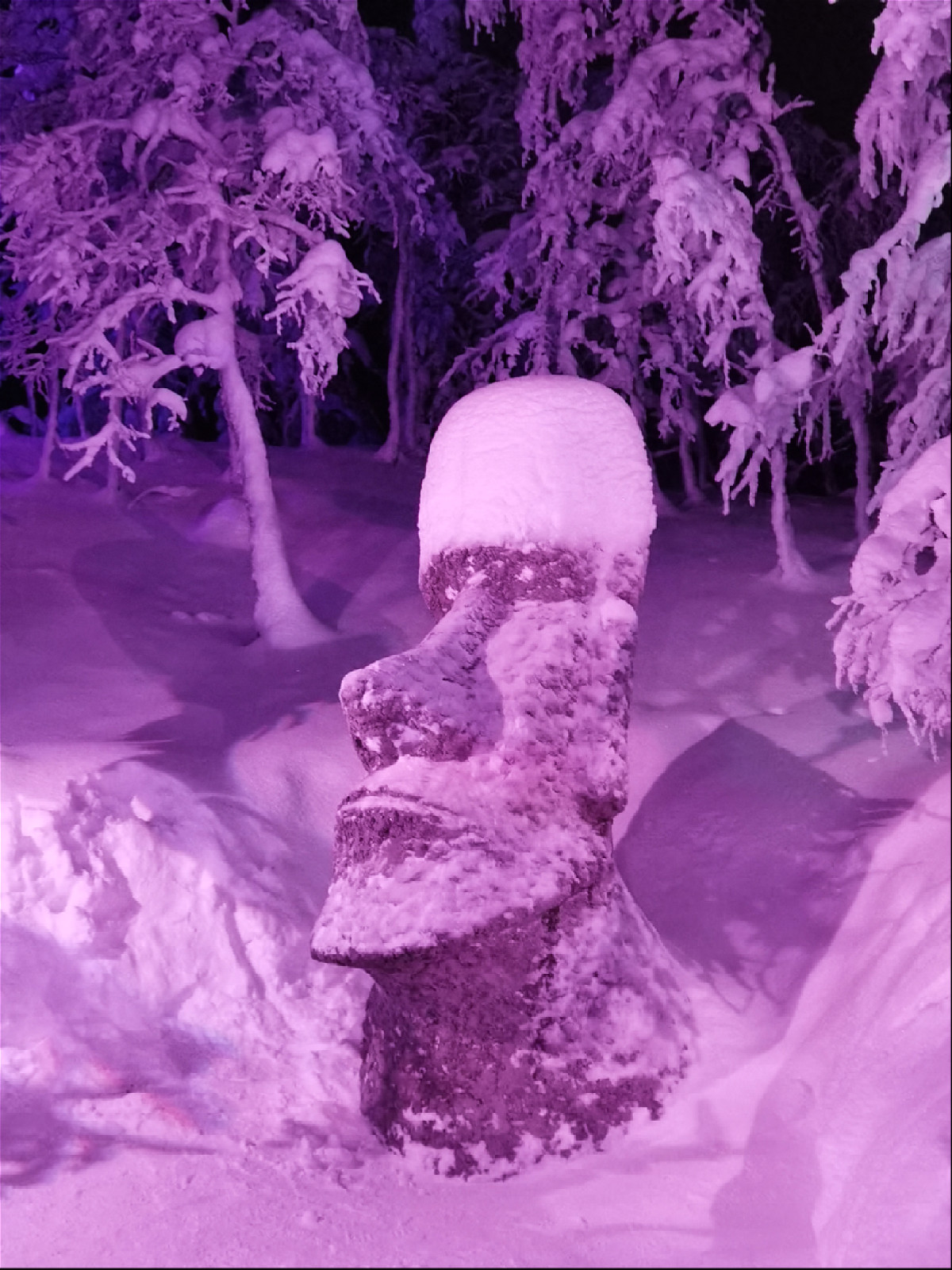 копия статуи острова пасхи в снежном лесу