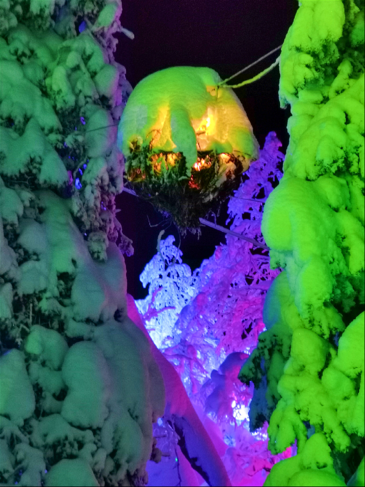 арт обьект с подсветкой висящий между деревьев