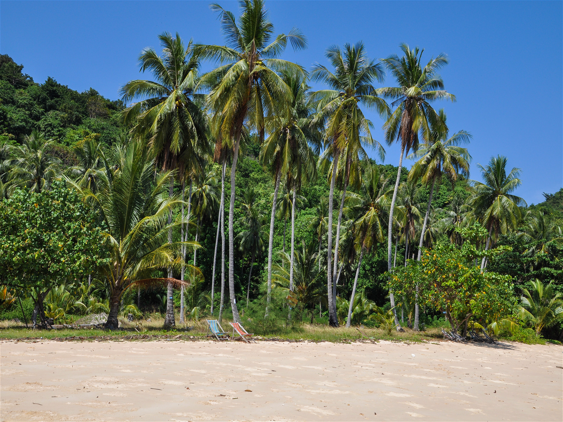 Пальмы на песчаном пляже острова