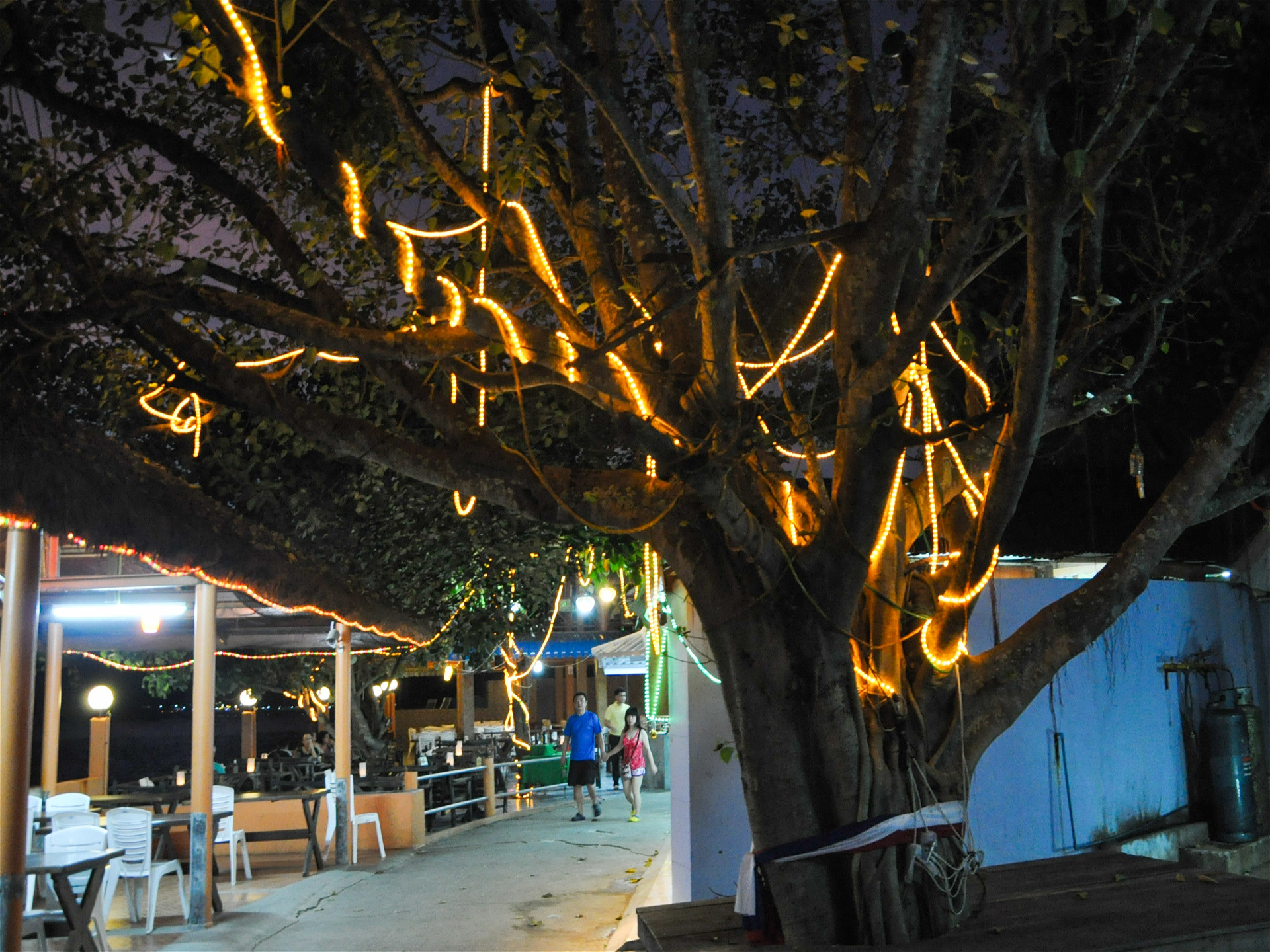 Ресторан и дерево с подсветкой